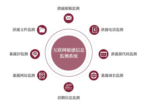 金融信息科技外包导致敏感信息泄露风险上升 看raysin来支招