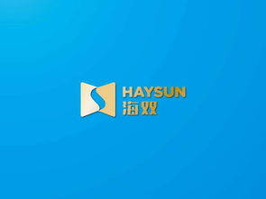 海智品牌VI设计 海双信息科技的企业形象与文化传达